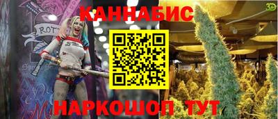 гидропоника Дубна