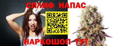 гидропоника Дубна