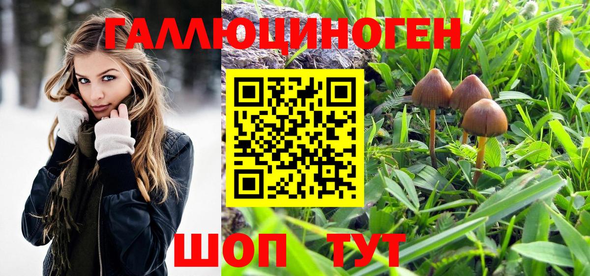Галлюциногенные грибы Psilocybine cubensis Мценск