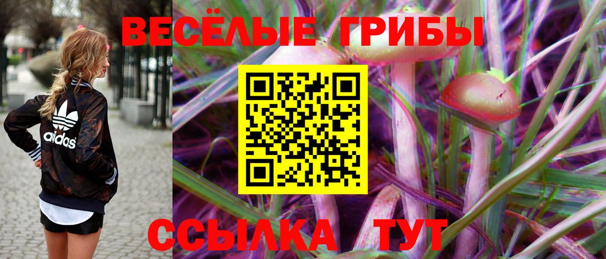 Галлюциногенные грибы Psilocybine cubensis  Вход с VPN  Мценск 
